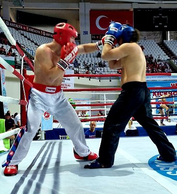 img00026.jpg