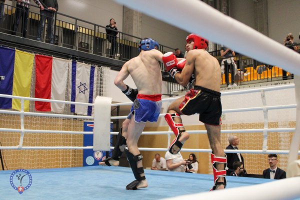 img00036.jpg