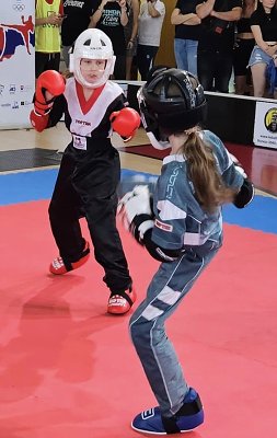 img00027.jpg