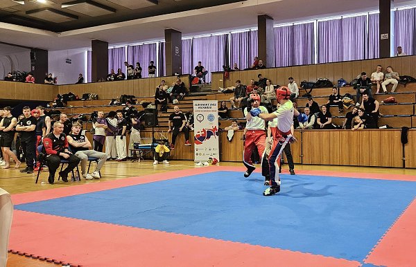 img00017.jpg